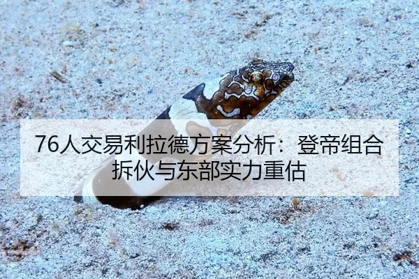 ren-jiao-yi-li-la-de-fang-an-fen-xi-deng-di-zu-he-chai-huo-yu-dong-bu-shi-li-zhong-gu-2-338.jpg