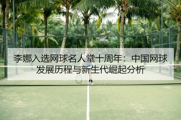 li-na-ru-xuan-wang-qiu-ming-ren-tang-shi-zhou-nian-zhong-guo-wang-qiu-fa-zhan-li-cheng-yu-xin-sheng-dai-jue-qi-fen-xi-2-931.jpg